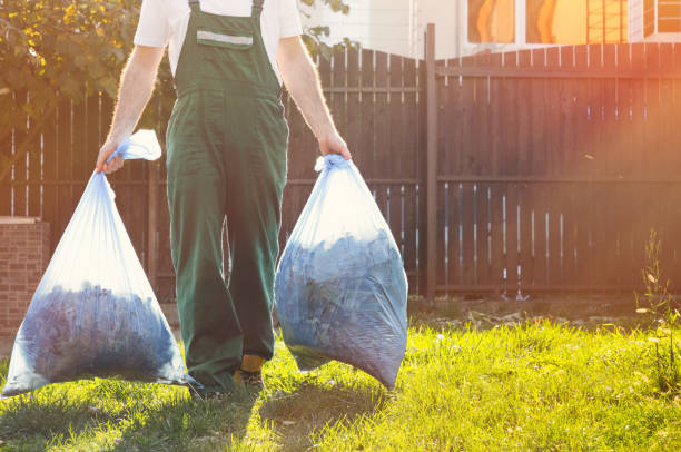 Best Scrap Metal Removal  in Willcox, AZ