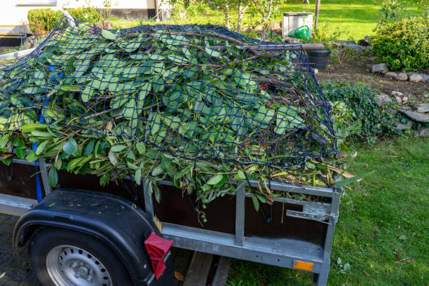 Best Shed Removal  in Willcox, AZ